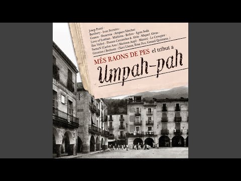 La Catximba I ”els Rostolls de L'Angelina”