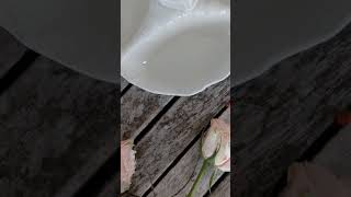 BERNADOTTE talíř mělký 25 cm, husy a modrá linka, Thun 1794