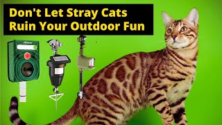 Best Outdoor Cat Repellent -Don