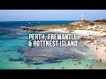 PERTH AUSTRALIA: Fremantle and Quokka's on Rottnest Island - A long weekend in Western Australia!