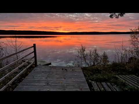 Efrîn - Birîna Dilê min (Kurdish Music)