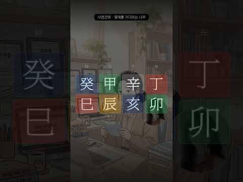자격증 7개, 통장은 그대로입니다 | 사연으로 읽는 사주 13