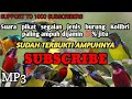 Suara Pikat Semua Jenis Burung Kolibri Full Durasi 1jam 100 Ampuh