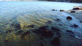 Carra Barra Wirra Canna Music Video