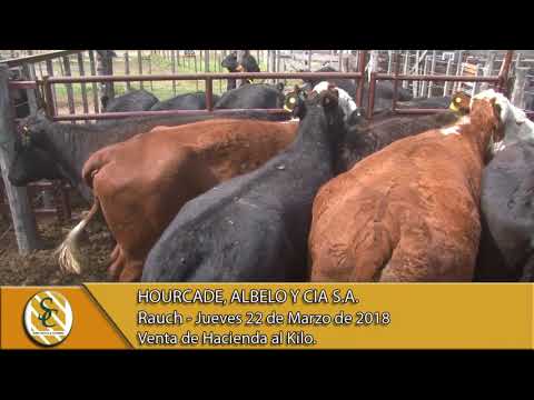 22-03-18 Venta de Hacienda al Kilo - Hourcade, Albelo y Cia S.A. - Rauch.