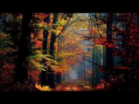 Pachelbel - Forest Garden (Album)