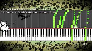 Download lagu フランツ・リスト 2つの演奏会用練習曲 小人の踊り mp3