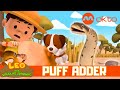 ZUMI SNAKE BITE RESCUE MISSION ‍ ️ Leo The Wildlife Ranger Spinoff S7E02 Mediacorpokto