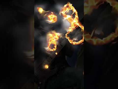 Gun Shy Florida Band Bio