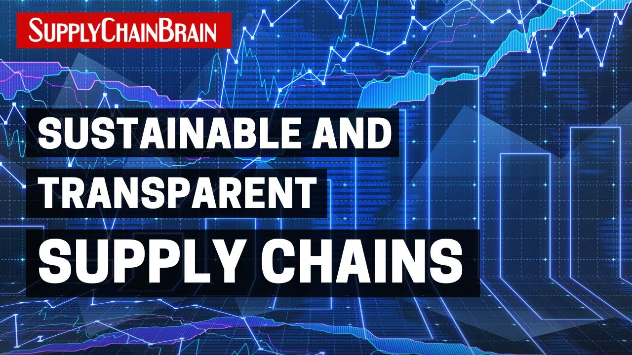 How Can Supply Chains Become Sustainable and Transparent?