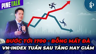 Thị trường lên – Tài khoản đứng im? Xu hướng tuần sau như thế nào? | Livestream Pinetalk