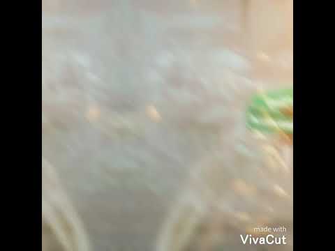 02.Kpanto ft PCK - Dey say (Prod By Kpanto)