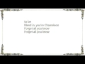 Brendan Canning - Chameleon Lyrics