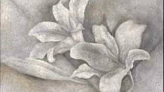 Dax Johnson - Echoes