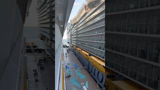 Utopia of the Seas in CocoCay! #royalcaribbean #utopiaoftheseas #cruiseship #cruise #cruiselife