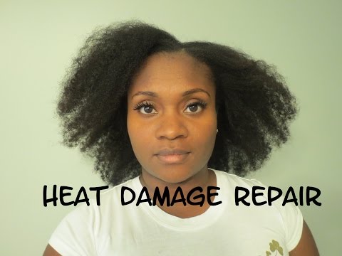 download lagu mp3 mp4 Apple Cider Vinegar Damage Hair, download lagu Apple Cider Vinegar Damage Hair gratis, unduh video klip Apple Cider Vinegar Damage Hair