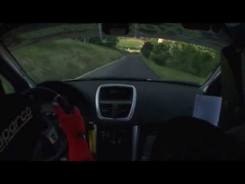 Rally delle 2 Torri 2013  Galeotti - Lorenzi  Peugeot 207 R3/T