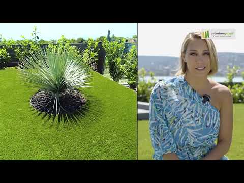 Ismerd meg Ramóna történetét.