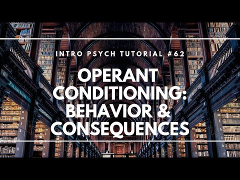 Learning Theory Classical Conditioning Intro Psych Tutorial 59