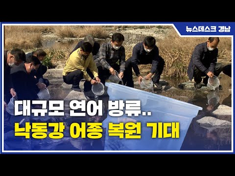대규모 연어 방류..낙동강 어종 복원 기대 (2022.3.15/뉴스데스크/MBC경남)