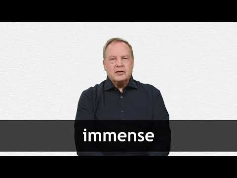What does 2024 immense mean