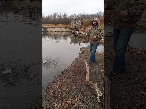 First Fish Is A Quick Release.