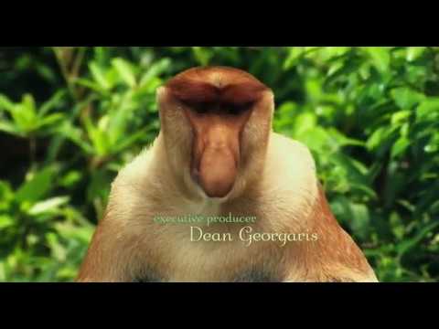 Film o polsce - Testoviron [NEW VERSION HD]