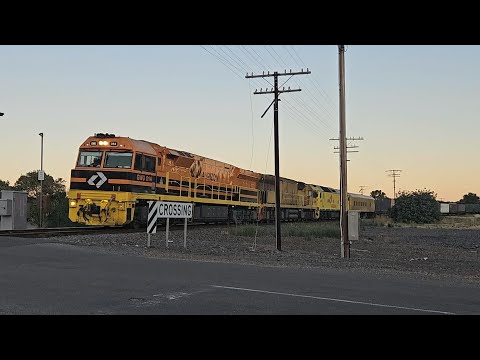 5MP1 Aurizon down Superfreighter (GWU, ACD, G535), Melbourne to Perth, 2030, 30/1/25, Stawell VIC
