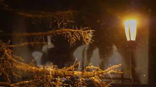 Esta Noche Quiero Brandy - Dyango (Subs ingles español)