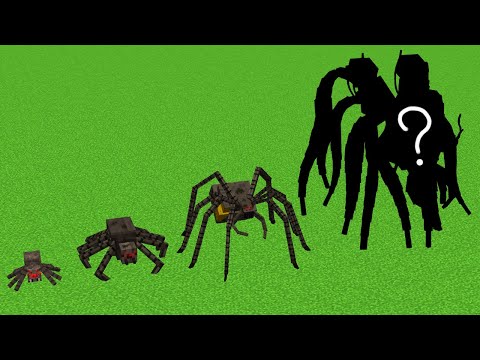 what spider will happen next ?