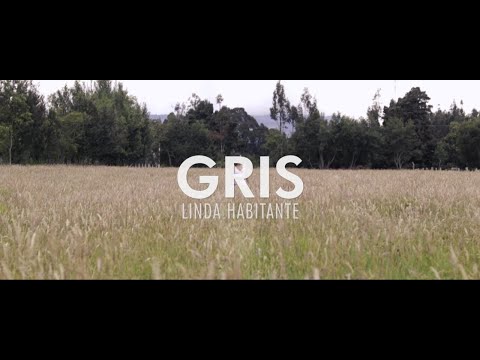 Linda Habitante - Gris