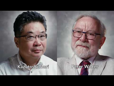 Kazutoshi Mori and Peter Walter: 2018 Breakthrough Prize Award Presentation