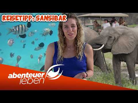 HAKUNA MATATA 🥰 Sansibar ist Judiths Urlaubsgeheimtipp! | Abenteuer Leben