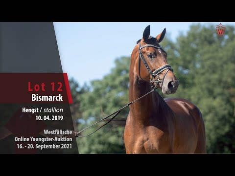 Youngster Online-Auktion Lot 12 Bismarck Hengst v. Balou du Rouet  - FAN Holland