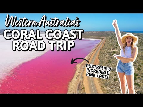 Highlights of our WESTERN AUSTRALIA CORAL COAST ROAD TRIP! (& lows!)
