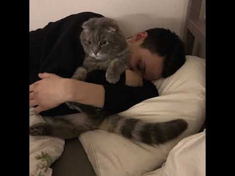 Kunteynir Демоны instrumental