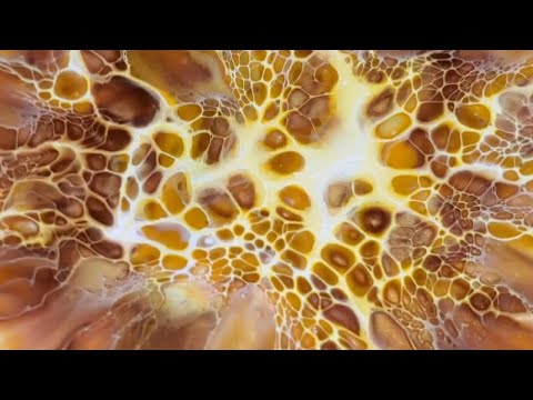 #167 - Earth Tones #Bloom Collaboration with Muna & Jodie | #Colourarte #PrimaryElements #Sheleeart