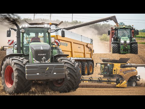 WIELKIE ŻNIWA 2024 | 5 CIĄGNIKÓW W ODWOZIE | 2 KOMBAJNY | GR GIERADA | ŚWIĘTOKRZYSKIE | BIG HARVEST