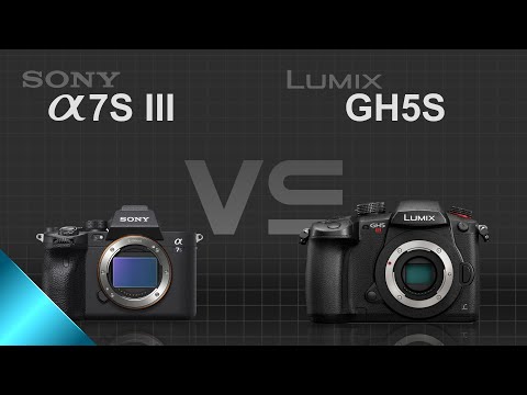 Sony alpha a7S III vs Panasonic Lumix GH5S