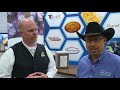 ADM Animal Nutrition Innovating With Cattle Nutrition