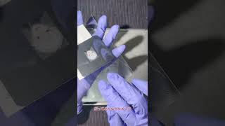 【にじさんじ   葛葉さんプレインシート】オーダーはインスタDMから📨♡できます☺️