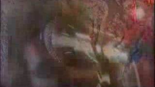 Kultur Shock: Tutti Frutti