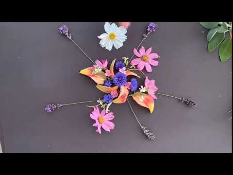 Flower Mandala Timelapse