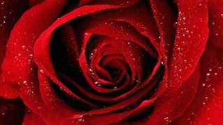 Silently - Shawn Mitiska ft. Jaren *LYRICS*