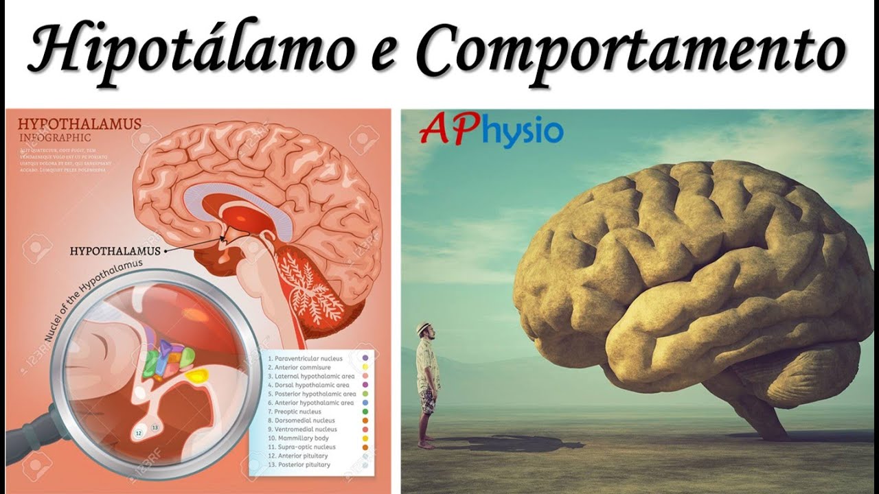 Hipotálamo e Comportamento