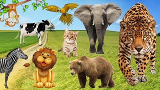 Sounds of farm animals | Cow, Chickens, Sheep, horses, Pig, Rooster, Duck, Elephant, Cat