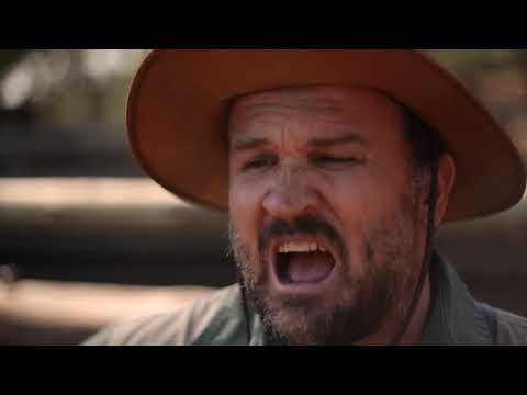 Robbie Wessels - Plaasjapie