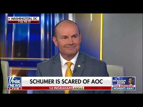 Senators Lee and Mullin Expose the Schumer Shutdown on Ingraham