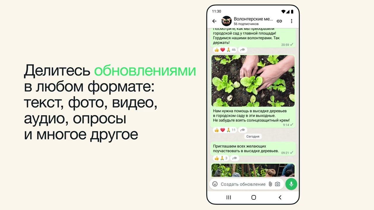 Как создать канал в WhatsApp? | WhatsApp