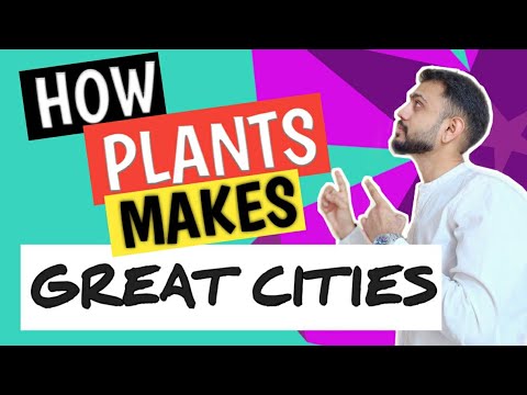 What will happen if you cut down all of a city's trees? पेड़ क़ेसे शहर को समृद्ध बनाते हैं |